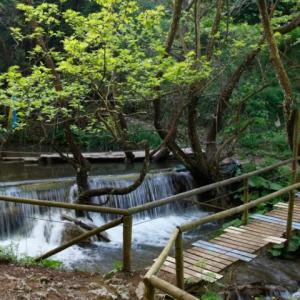Pavliani Park