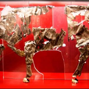 Silver Bull