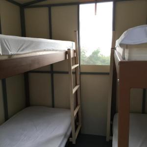 Dotrmitory Tent 4